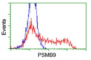 PSMB9 Antibody - HEK293T cells transfected with either overexpress plasmid (Red) or empty vector control plasmid (Blue) were immunostained by anti-PSMB9 antibody, and then analyzed by flow cytometry.