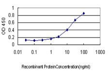 PSMD10 / Gankyrin Antibody - Detection limit for recombinant GST tagged PSMD10 is approximately 0.3 ng/ml as a capture antibody.