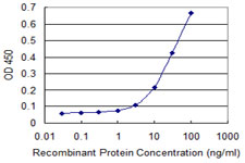 PYGM Antibody - Detection limit for recombinant GST tagged PYGM is 1 ng/ml as a capture antibody.