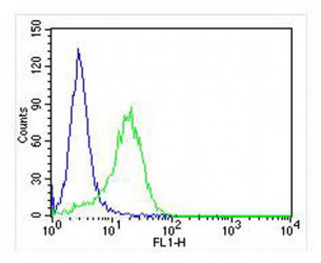 RAB3A Antibody - Overlay histogram showing PC-12 cells stained with antibody (green line). The cells were fixed with 2% paraformaldehyde (10 min) and then permeabilized with 90% methanol for 10 min. The cells were then incubated in 2% bovine serum albumin to block non-specific protein-protein interactions followed by the antibody (antibody, 1:25 dilution) for 60 min at 37°C. The secondary antibody used was Goat-Anti-Mouse IgG, DyLight 488 Conjugated Highly Cross-Adsorbed) at 1:400 dilution for 40 min at 37 ° C. Isotype control antibody (blue line) was mouse IgG (1ug/1x10^6 cells) used under the same conditions. Acquisition of >10, 000 events was performed.