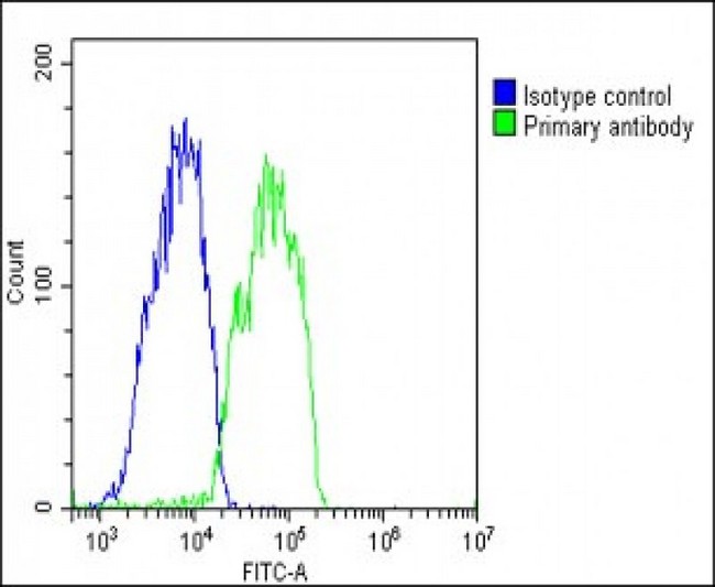 RARRES2 / Chemerin Antibody - Overlay histogram showing HepG2 cells stained with RARRES2 Antibody (N-Term) (green line). The cells were fixed with 2% paraformaldehyde (10 min) and then permeabilized with 90% methanol for 10 min. The cells were then icubated in 2% bovine serum albumin to block non-specific protein-protein interactions followed by the antibody (RARRES2 Antibody (N-Term), 1:25 dilution) for 60 min at 37°C. The secondary antibody used was Goat-Anti-Rabbit IgG, DyLight® 488 Conjugated Highly Cross-Adsorbed (1583138) at 1/200 dilution for 40 min at 37°C. Isotype control antibody (blue line) was rabbit IgG1 (1µg/1x10^6 cells) used under the same conditions. Acquisition of >10, 000 events was performed.