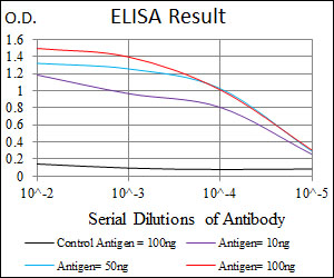 Ras-related protein Rab-4 (RAB4) Antibody - Red: Control Antigen (100ng); Purple: Antigen (10ng); Green: Antigen (50ng); Blue: Antigen (100ng);