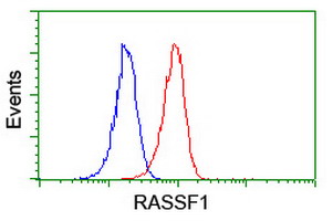 RASSF1 / RASSF1A Antibody - Flow cytometry of Jurkat cells, using anti-RASSF1 antibody (Red), compared to a nonspecific negative control antibody (Blue).