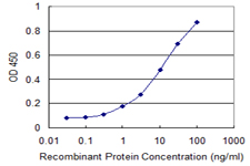 RBM3 Antibody - Detection limit for recombinant GST tagged RBM3 is 0.1 ng/ml as a capture antibody.