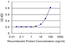 RBM8A / Y14 Antibody - Detection limit for recombinant GST tagged RBM8A is 3 ng/ml as a capture antibody.