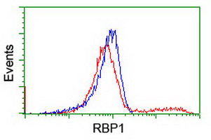 RBP1 / CRBP Antibody - HEK293T cells transfected with either overexpress plasmid (Red) or empty vector control plasmid (Blue) were immunostained by anti-RBP1 antibody, and then analyzed by flow cytometry.