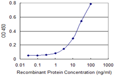 RGS3 Antibody - Detection limit for recombinant GST tagged RGS3 is 0.3 ng/ml as a capture antibody.