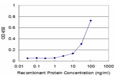 RHEB Antibody - Detection limit for recombinant GST tagged RHEB is approximately 3 ng/ml as a capture antibody.