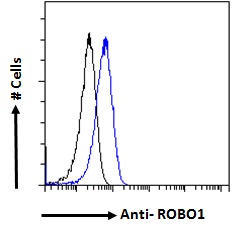 ROBO1 Antibody - Goat Anti-ROBO1 / DUTT1 (Internal) Antibody Flow cytometric analysis of paraformaldehyde fixed HeLa cells (blue line), permeabilized with 0.5% Triton. Primary incubation overnight (10ug/ml) followed by Alexa Fluor 488 secondary antibody (1ug/ml). IgG control: Unimmunized goat IgG (black line) followed by Alexa Fluor 488 secondary antibody.