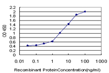 RPS2 / Ribosomal Protein S2 Antibody - Detection limit for recombinant GST tagged RPS2 is approximately 0.03 ng/ml as a capture antibody.