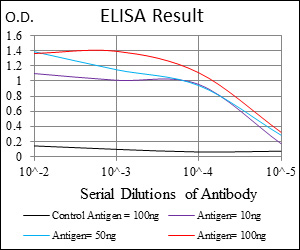 RPS6KA3 / RSK2 Antibody - Red: Control Antigen (100ng); Purple: Antigen (10ng); Green: Antigen (50ng); Blue: Antigen (100ng);