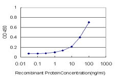 RPS7 / Ribosomal Protein S7 Antibody - Detection limit for recombinant GST tagged RPS7 is approximately 1 ng/ml as a capture antibody.