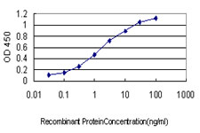 RRM2 Antibody - Detection limit for recombinant GST tagged RRM2 is approximately 0.03 ng/ml as a capture antibody.