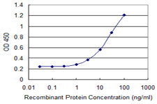 RTKN2 Antibody - Detection limit for recombinant GST tagged RTKN2 is 0.3 ng/ml as a capture antibody.