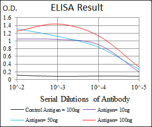 RUNX3 Antibody - Red: Control Antigen (100ng); Purple: Antigen (10ng); Green: Antigen (50ng); Blue: Antigen (100ng);
