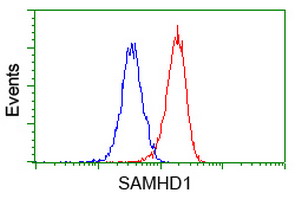 SAMHD1 Antibody - Flow cytometry of HeLa cells, using anti-SAMHD1 antibody (Red), compared to a nonspecific negative control antibody (Blue).