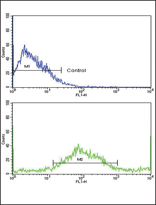 SAR1A / SAR1 Antibody - Flow cytometric of NCI-H292 cells using SAR1A Antibody (bottom histogram) compared to a negative control cell (top histogram). FITC-conjugated goat-anti-rabbit secondary antibodies were used for the analysis.