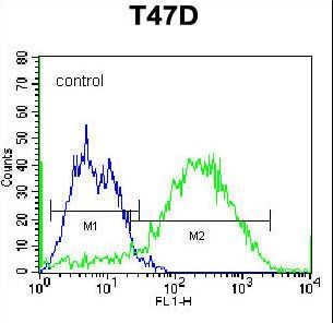 SDC1 / Syndecan 1 / CD138 Antibody - CD138 Antibody (Ascites) flow cytometry of T47D cells (right histogram) compared to a negative control cell (left histogram). Alexa Fluor 488-conjugated donkey anti-mouse lgG secondary antibodies were used for the analysis