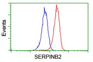SERPINB2 / PAI-2 Antibody - Flow cytometry of Jurkat cells, using anti-SERPINB2 antibody (Red), compared to a nonspecific negative control antibody (Blue).