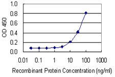 SHBG Antibody - Detection limit for recombinant GST tagged SHBG is 1 ng/ml as a capture antibody.