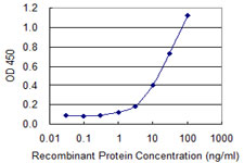 SIPR3 / EDG3 / S1P3 Antibody - Detection limit for recombinant GST tagged S1PR3 is 0.3 ng/ml as a capture antibody.
