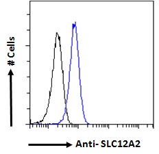 SLC12A2 / NKCC1 Antibody - Goat Anti-SLC12A2 Antibody Flow cytometric analysis of paraformaldehyde fixed HeLa cells (blue line), permeabilized with 0.5% Triton. Primary incubation 1hr (10ug/ml) followed by Alexa Fluor 488 secondary antibody (1ug/ml). IgG control: Unimmunized goat IgG (black line) followed by Alexa Fluor 488 secondary antibody.