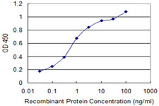 SLC13A5 Antibody - Detection limit for recombinant GST tagged SLC13A5 is 0.03 ng/ml as a capture antibody.