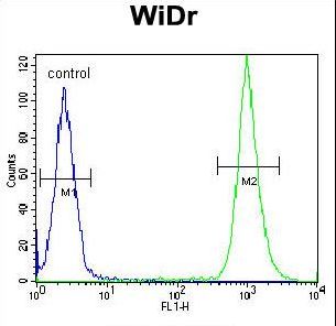 SLC16A11 Antibody - SLC16A11 Antibody flow cytometry of WiDr cells (right histogram) compared to a negative control cell (left histogram). FITC-conjugated goat-anti-rabbit secondary antibodies were used for the analysis.