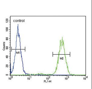 SLC25A37 / Mitoferrin Antibody - SLC25A37 Antibody flow cytometry of MDA-MB231 cells (right histogram) compared to a negative control cell (left histogram). FITC-conjugated goat-anti-rabbit secondary antibodies were used for the analysis.