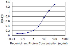 SLC4A1 / Band 3 / AE1 Antibody - Detection limit for recombinant GST tagged SLC4A1 is 0.1 ng/ml as a capture antibody.