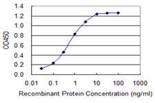 SLC5A2 / SGLT2 Antibody - Detection limit for recombinant GST tagged SLC5A2 is 0.03 ng/ml as a capture antibody.