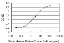 SMAD3 Antibody - Detection limit for recombinant GST tagged SMAD3 is approximately 0.03 ng/ml as a capture antibody.