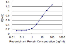 SMO / Smoothened Antibody - Detection limit for recombinant GST tagged SMO is 0.1 ng/ml as a capture antibody.