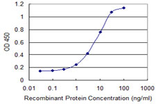 SMO / Smoothened Antibody - Detection limit for recombinant GST tagged SMO is 0.3 ng/ml as a capture antibody.