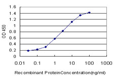 SMURF1 Antibody - Detection limit for recombinant GST tagged SMURF1 is approximately 0.1 ng/ml as a capture antibody.