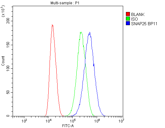 SNAP25 Antibody - Flow Cytometry analysis of U87 cells using anti-SNAP25 antibody. Overlay histogram showing U87 cells stained with anti-SNAP25 antibody (Blue line). The cells were blocked with 10% normal goat serum. And then incubated with rabbit anti-SNAP25 Antibody (1µg/10E6 cells) for 30 min at 20°C. DyLight®488 conjugated goat anti-rabbit IgG (5-10µg/10E6 cells) was used as secondary antibody for 30 minutes at 20°C. Isotype control antibody (Green line) was rabbit IgG (1µg/10E6 cells) used under the same conditions. Unlabelled sample (Red line) was also used as a control.