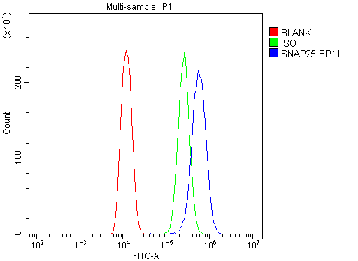 SNAP25 Antibody - Flow Cytometry analysis of U20S cells using anti-SNAP25 antibody. Overlay histogram showing U20S cells stained with anti-SNAP25 antibody (Blue line). The cells were blocked with 10% normal goat serum. And then incubated with rabbit anti-SNAP25 Antibody (1µg/10E6 cells) for 30 min at 20°C. DyLight®488 conjugated goat anti-rabbit IgG (5-10µg/10E6 cells) was used as secondary antibody for 30 minutes at 20°C. Isotype control antibody (Green line) was rabbit IgG (1µg/10E6 cells) used under the same conditions. Unlabelled sample (Red line) was also used as a control.