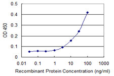 SNAPIN Antibody - Detection limit for recombinant GST tagged SNAPIN is 1 ng/ml as a capture antibody.