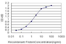 SNRPA / U1A Antibody - Detection limit for recombinant GST tagged SNRPA is approximately 0.03 ng/ml as a capture antibody.