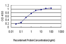 SPSB2 Antibody - Detection limit for recombinant GST tagged SPSB2 is approximately 0.03 ng/ml as a capture antibody.