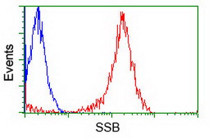 SSB / La Antibody - Flow cytometry of Jurkat cells, using anti-SSB antibody (Red), compared to a nonspecific negative control antibody (Blue).