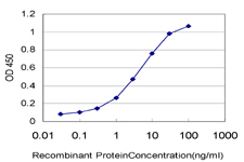 STAT6 Antibody - Detection limit for recombinant GST tagged STAT6 is approximately 0.1 ng/ml as a capture antibody.