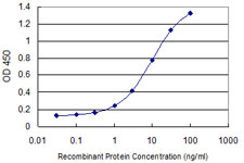 STI1 / STIP1 Antibody - Detection limit for recombinant GST tagged STIP1 is 0.1 ng/ml as a capture antibody.
