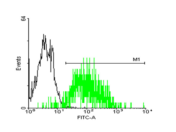 STI1 / STIP1 Antibody - FACS analysis of A-431 cells stained with STIP1 monoclonal antibody clone 2E11 (Green) and non-stained A-431 cells (Black) as negative control.