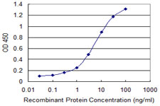 STI1 / STIP1 Antibody - Detection limit for recombinant GST tagged STIP1 is 0.1 ng/ml as a capture antibody.