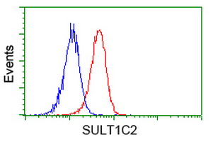 SULT1C2 / Sulfotransferase 1C2 Antibody - Flow cytometry of Jurkat cells, using anti-SULT1C2 antibody (Red), compared to a nonspecific negative control antibody (Blue).