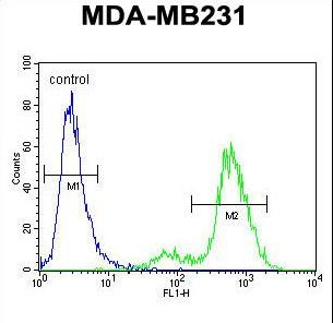 SYCE2 Antibody - SYCE2 Antibody flow cytometry of MDA-MB231 cells (right histogram) compared to a negative control cell (left histogram). FITC-conjugated goat-anti-rabbit secondary antibodies were used for the analysis.