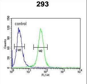TARSL2 Antibody - TARSL2 Antibody flow cytometry of 293 cells (right histogram) compared to a negative control cell (left histogram). FITC-conjugated goat-anti-rabbit secondary antibodies were used for the analysis.