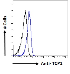 TCP1 Antibody - Goat Anti-TCP1 Antibody Flow cytometric analysis of paraformaldehyde fixed HeLa cells (blue line), permeabilized with 0.5% Triton. Primary incubation 1hr (10ug/ml) followed by Alexa Fluor 488 secondary antibody (1ug/ml). IgG control: Unimmunized goat IgG (black line) followed by Alexa Fluor 488 secondary antibody.