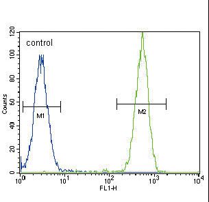 TERT / Telomerase Antibody - TERT Antibody flow cytometry of HeLa cells (right histogram) compared to a negative control cell (left histogram). FITC-conjugated goat-anti-rabbit secondary antibodies were used for the analysis.